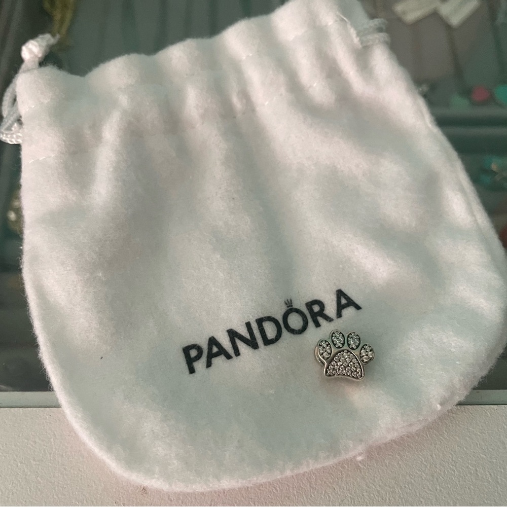 Pandora charm